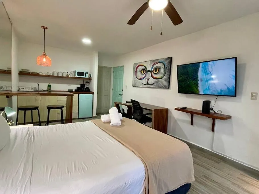 Miramar By Zama Homes Playa del Carmen Mexico